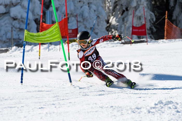 Ziener Cup WF, Finale, Quali + Parallelslalom, 24.03.2018