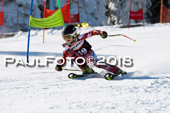 Ziener Cup WF, Finale, Quali + Parallelslalom, 24.03.2018