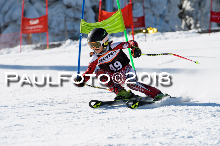 Ziener Cup WF, Finale, Quali + Parallelslalom, 24.03.2018