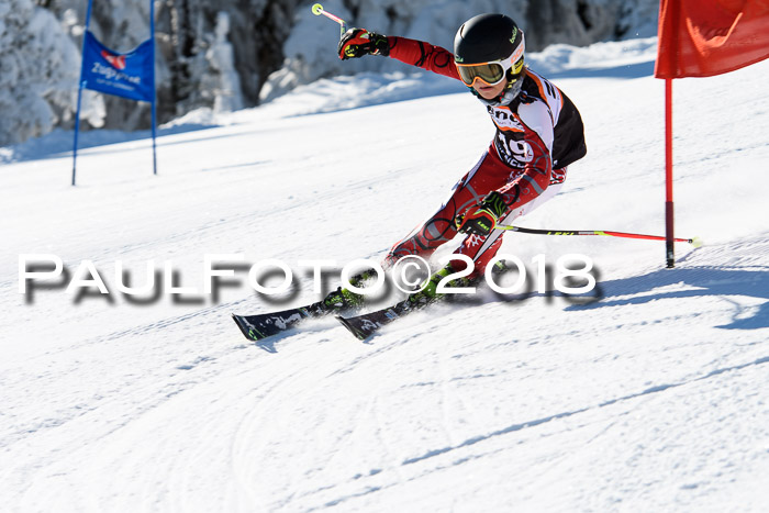 Ziener Cup WF, Finale, Quali + Parallelslalom, 24.03.2018