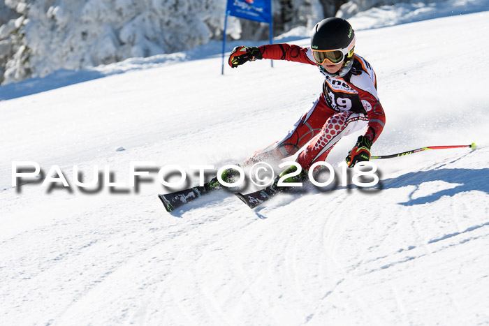 Ziener Cup WF, Finale, Quali + Parallelslalom, 24.03.2018