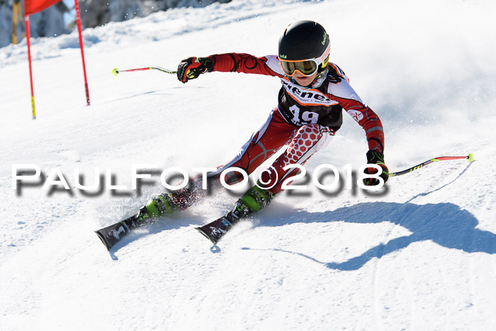 Ziener Cup WF, Finale, Quali + Parallelslalom, 24.03.2018