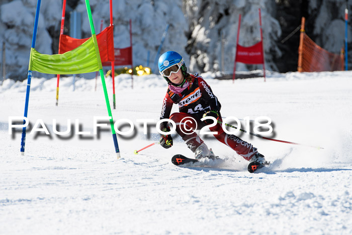Ziener Cup WF, Finale, Quali + Parallelslalom, 24.03.2018