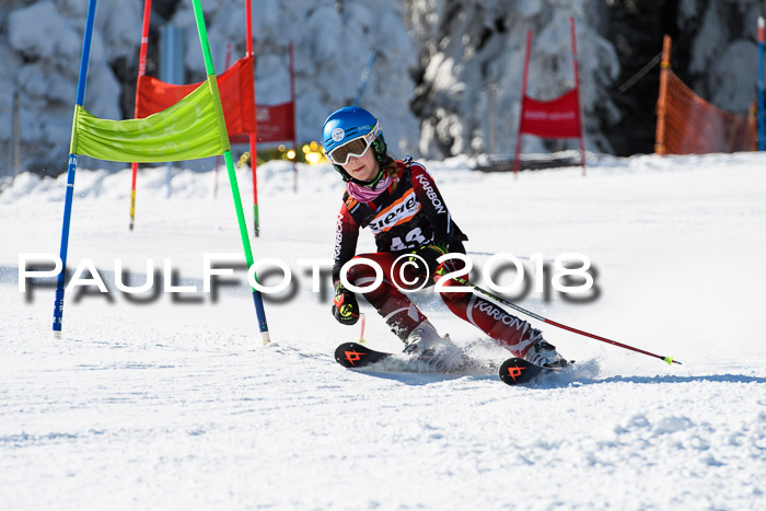 Ziener Cup WF, Finale, Quali + Parallelslalom, 24.03.2018