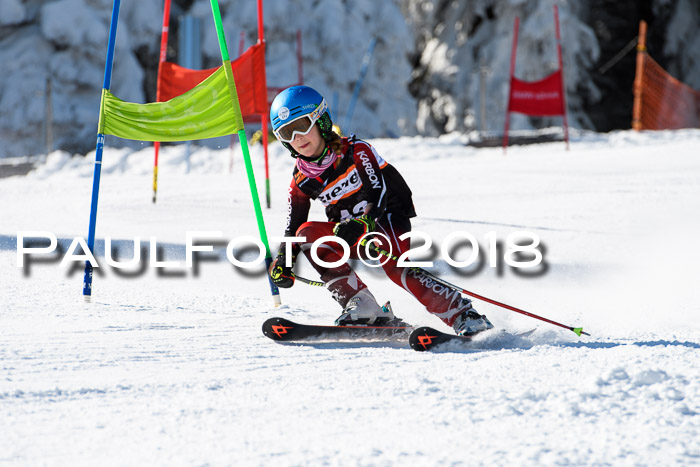 Ziener Cup WF, Finale, Quali + Parallelslalom, 24.03.2018