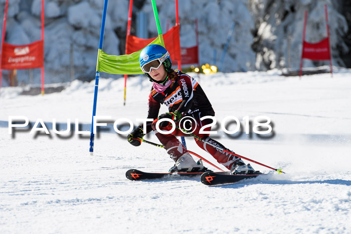 Ziener Cup WF, Finale, Quali + Parallelslalom, 24.03.2018