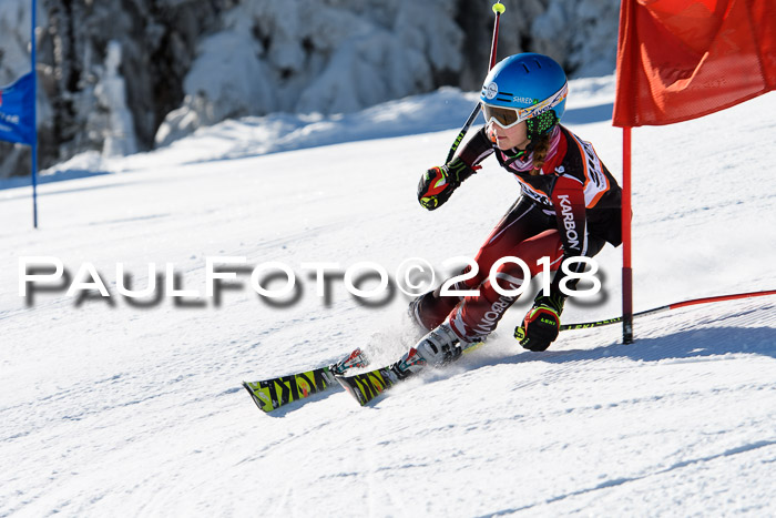 Ziener Cup WF, Finale, Quali + Parallelslalom, 24.03.2018