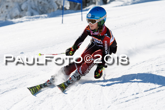 Ziener Cup WF, Finale, Quali + Parallelslalom, 24.03.2018
