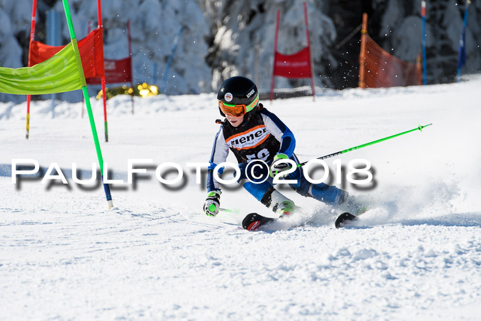Ziener Cup WF, Finale, Quali + Parallelslalom, 24.03.2018
