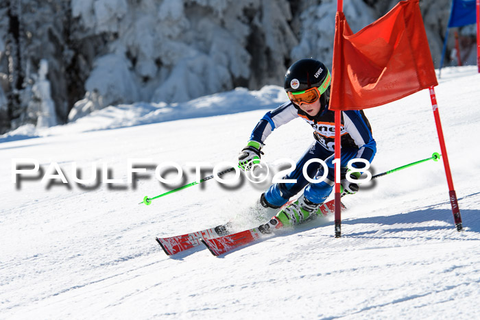 Ziener Cup WF, Finale, Quali + Parallelslalom, 24.03.2018