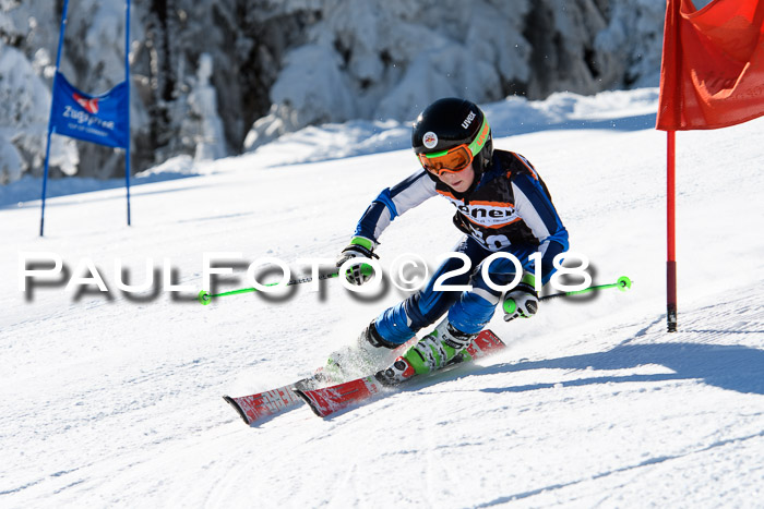 Ziener Cup WF, Finale, Quali + Parallelslalom, 24.03.2018