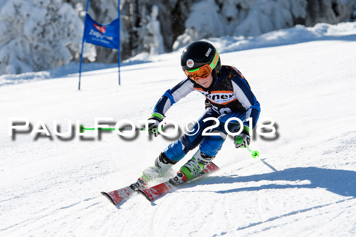Ziener Cup WF, Finale, Quali + Parallelslalom, 24.03.2018