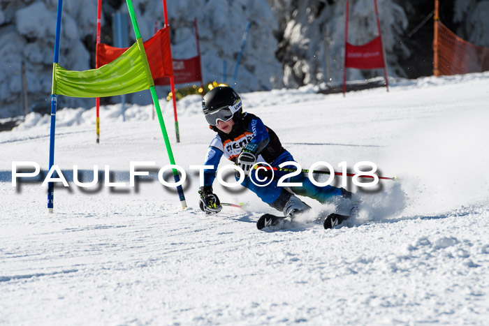 Ziener Cup WF, Finale, Quali + Parallelslalom, 24.03.2018