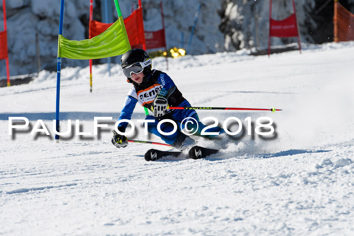 Ziener Cup WF, Finale, Quali + Parallelslalom, 24.03.2018