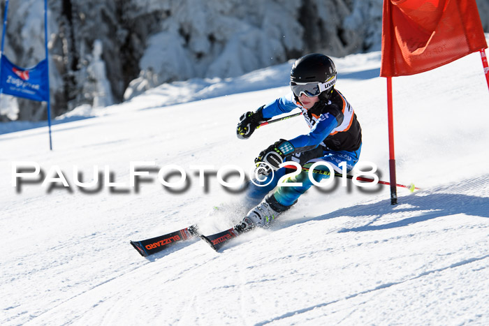 Ziener Cup WF, Finale, Quali + Parallelslalom, 24.03.2018
