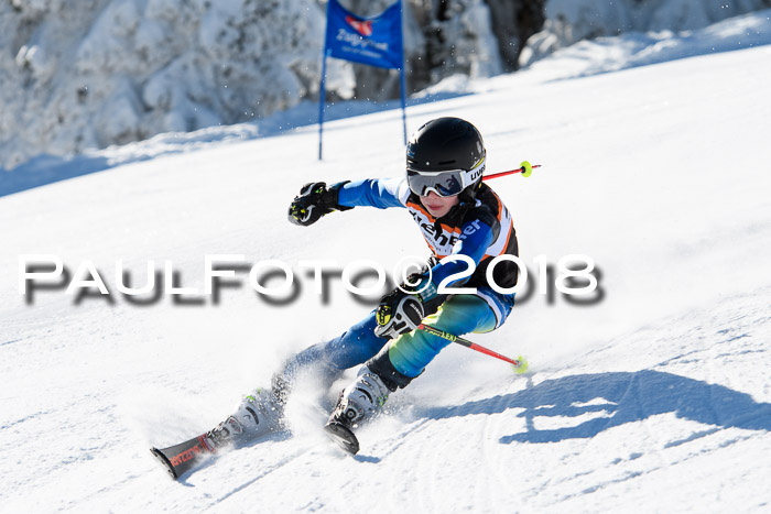 Ziener Cup WF, Finale, Quali + Parallelslalom, 24.03.2018