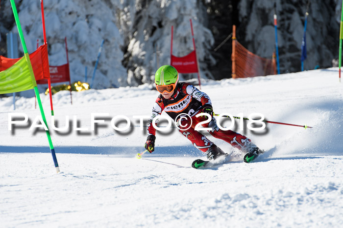 Ziener Cup WF, Finale, Quali + Parallelslalom, 24.03.2018