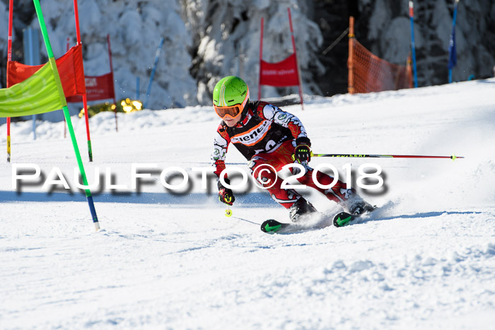 Ziener Cup WF, Finale, Quali + Parallelslalom, 24.03.2018