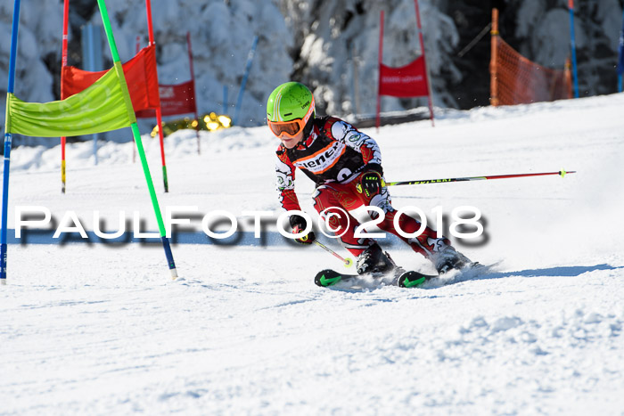 Ziener Cup WF, Finale, Quali + Parallelslalom, 24.03.2018