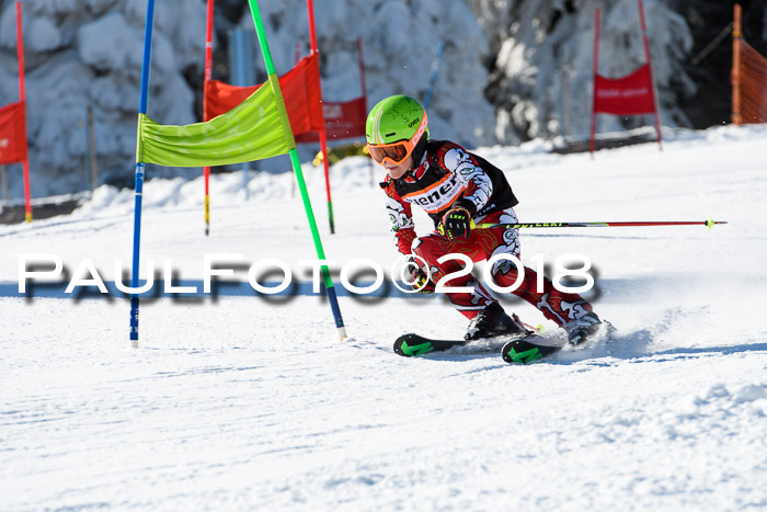 Ziener Cup WF, Finale, Quali + Parallelslalom, 24.03.2018