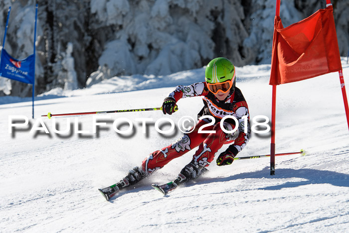 Ziener Cup WF, Finale, Quali + Parallelslalom, 24.03.2018