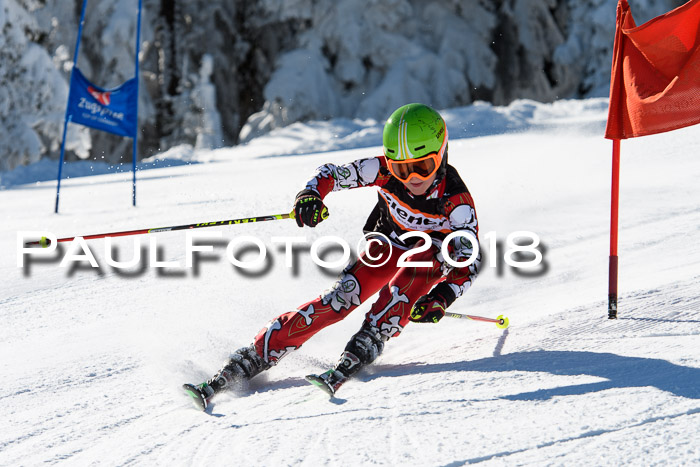 Ziener Cup WF, Finale, Quali + Parallelslalom, 24.03.2018