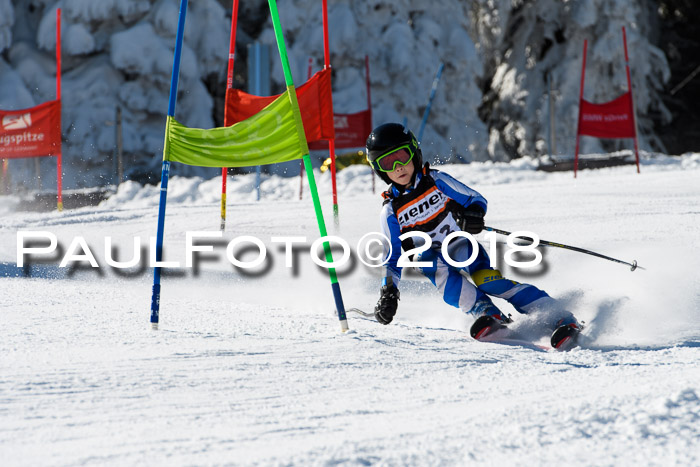 Ziener Cup WF, Finale, Quali + Parallelslalom, 24.03.2018