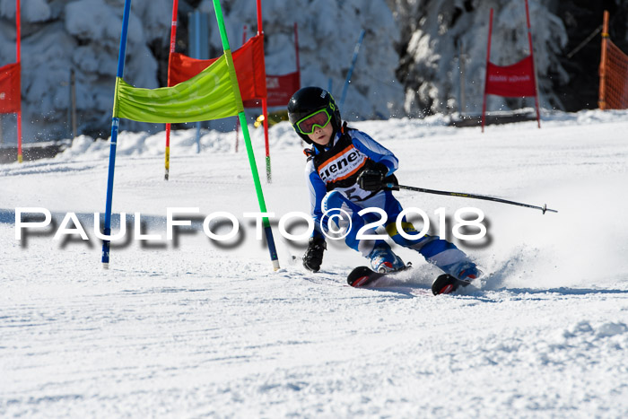 Ziener Cup WF, Finale, Quali + Parallelslalom, 24.03.2018