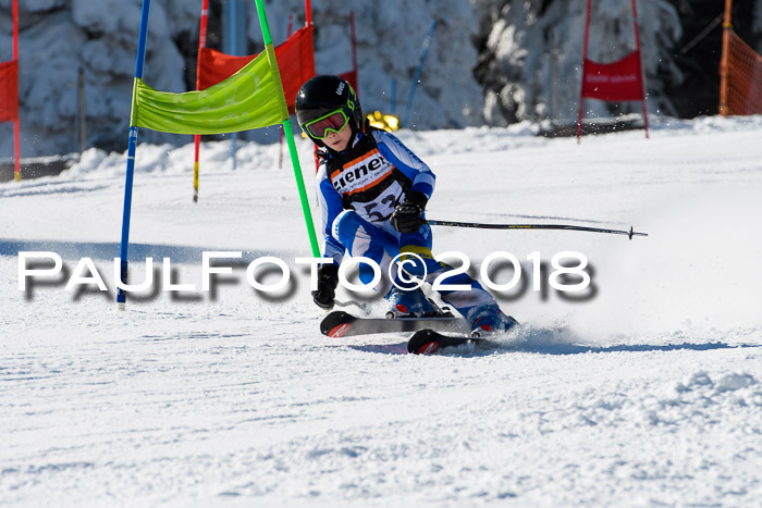 Ziener Cup WF, Finale, Quali + Parallelslalom, 24.03.2018