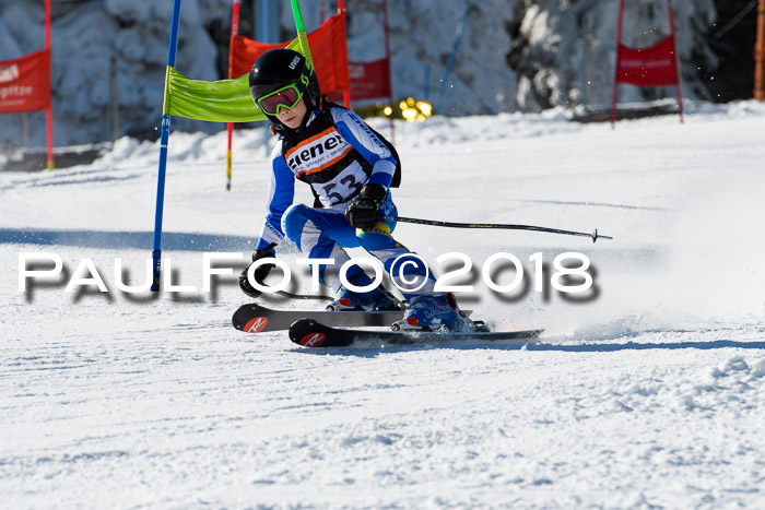 Ziener Cup WF, Finale, Quali + Parallelslalom, 24.03.2018