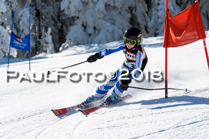 Ziener Cup WF, Finale, Quali + Parallelslalom, 24.03.2018