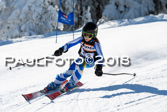 Ziener Cup WF, Finale, Quali + Parallelslalom, 24.03.2018