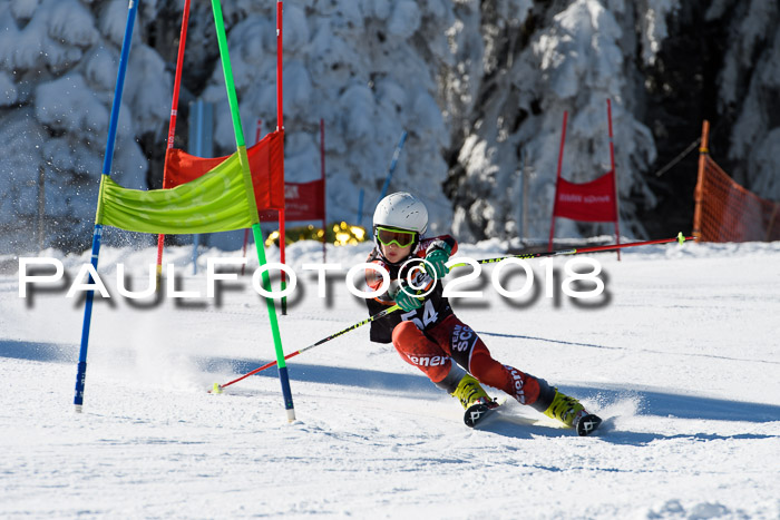 Ziener Cup WF, Finale, Quali + Parallelslalom, 24.03.2018