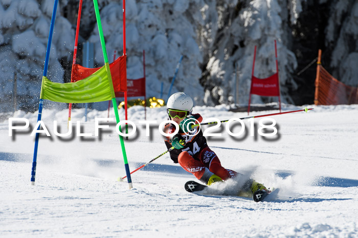 Ziener Cup WF, Finale, Quali + Parallelslalom, 24.03.2018
