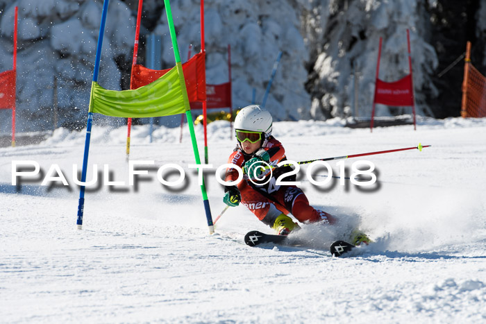 Ziener Cup WF, Finale, Quali + Parallelslalom, 24.03.2018