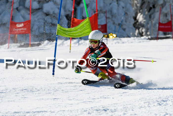 Ziener Cup WF, Finale, Quali + Parallelslalom, 24.03.2018