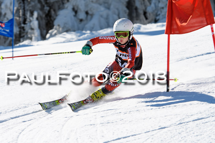 Ziener Cup WF, Finale, Quali + Parallelslalom, 24.03.2018