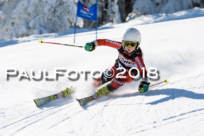 Ziener Cup WF, Finale, Quali + Parallelslalom, 24.03.2018