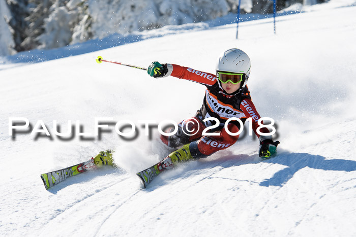 Ziener Cup WF, Finale, Quali + Parallelslalom, 24.03.2018