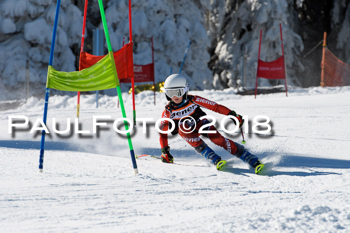 Ziener Cup WF, Finale, Quali + Parallelslalom, 24.03.2018