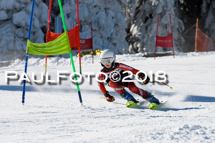 Ziener Cup WF, Finale, Quali + Parallelslalom, 24.03.2018