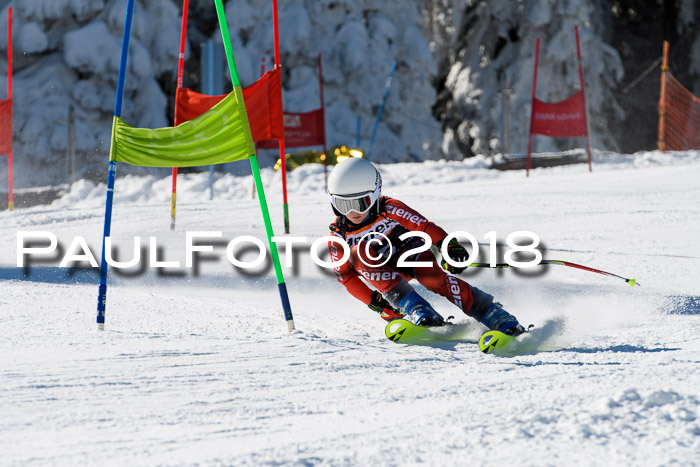 Ziener Cup WF, Finale, Quali + Parallelslalom, 24.03.2018