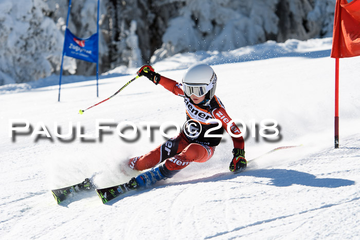 Ziener Cup WF, Finale, Quali + Parallelslalom, 24.03.2018