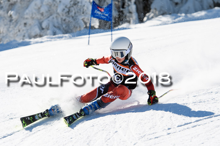 Ziener Cup WF, Finale, Quali + Parallelslalom, 24.03.2018