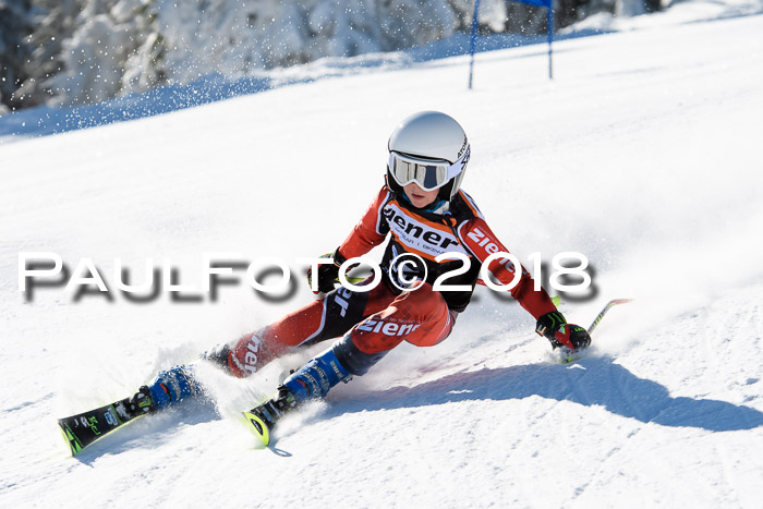 Ziener Cup WF, Finale, Quali + Parallelslalom, 24.03.2018