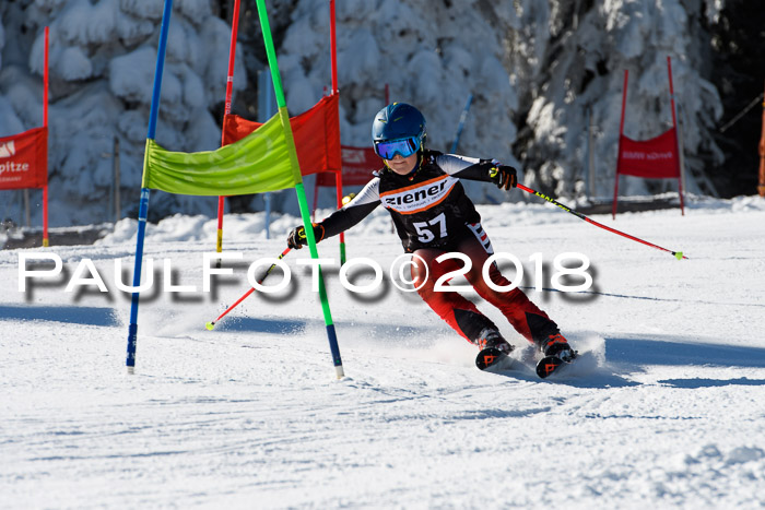 Ziener Cup WF, Finale, Quali + Parallelslalom, 24.03.2018