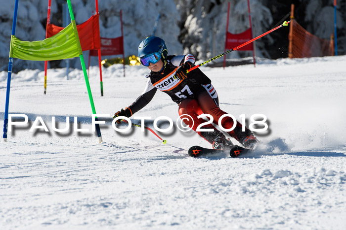 Ziener Cup WF, Finale, Quali + Parallelslalom, 24.03.2018