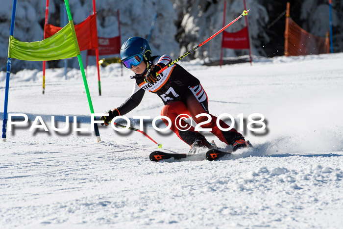 Ziener Cup WF, Finale, Quali + Parallelslalom, 24.03.2018