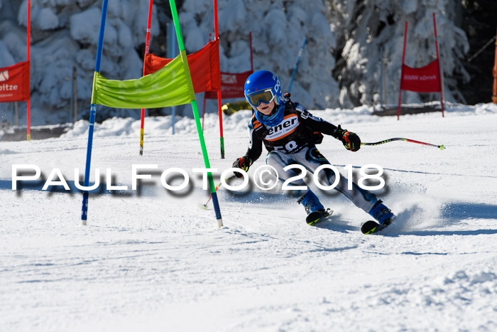 Ziener Cup WF, Finale, Quali + Parallelslalom, 24.03.2018