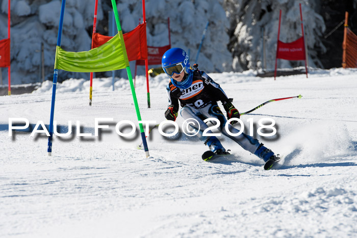 Ziener Cup WF, Finale, Quali + Parallelslalom, 24.03.2018